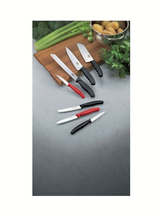 Victorinox Swiss Classic Cuțit de Brânză din Oțel Inoxidabil 11cm