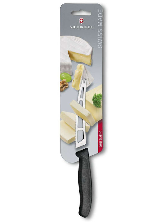 Victorinox Swiss Classic Cuțit de Brânză din Oțel Inoxidabil 11cm