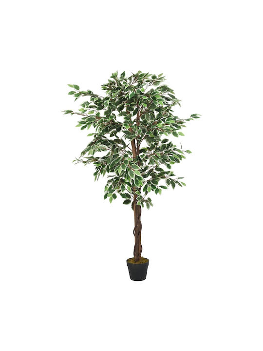 Ficus Lyrata Copac În Aer Liber 180cm vidaXL