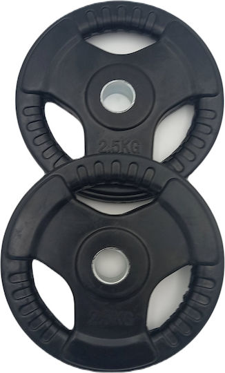 Profit Δίσκος Λαστιχένιος 1 x 2.5kg Φ28mm με Λαβές
