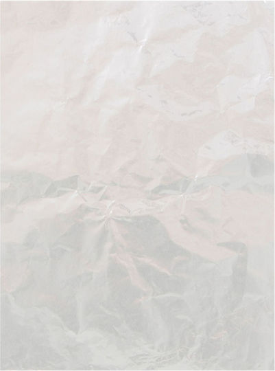 Aluminum Leaf 17x12.5cm