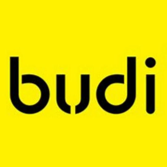 Budi Budi Handyladegerät Ohne Kabel Schwarz (M8J321E-BLK)