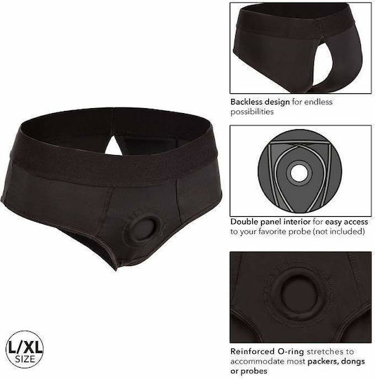 Calexotics Her Royal Harness Backless Brief Unterwäsche in Schwarz Farbe