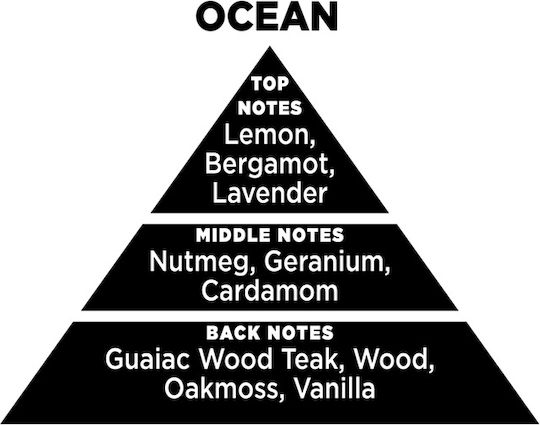 Themagio Diffuser με Άρωμα Ocean 77315 200ml