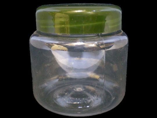 Βάζα Pet 10 Τεμ 250 Ml
