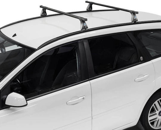 Auto Gs Autodachträger Metallisch 115cm ohne Beine Silber