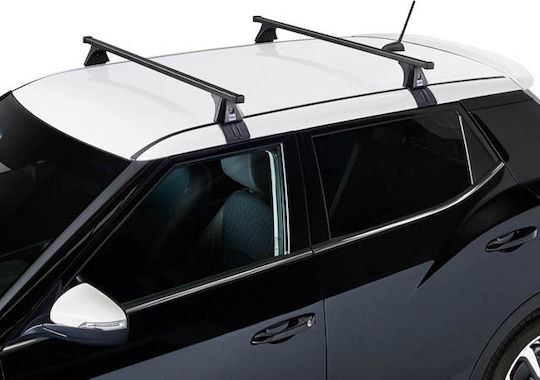 Auto Gs 120cm. (with Roof Rack Legs) Silver