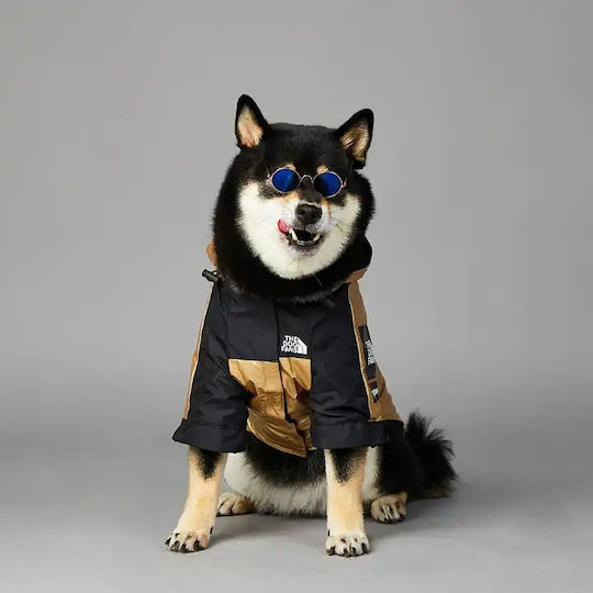 Gold Waterproof Dog Coat with Hood