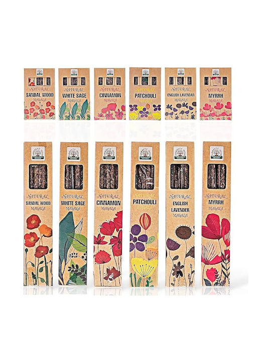 Ancient Wisdom Σετ Αρωματικών Sticks NBOTI-05 11τμχ 30gr