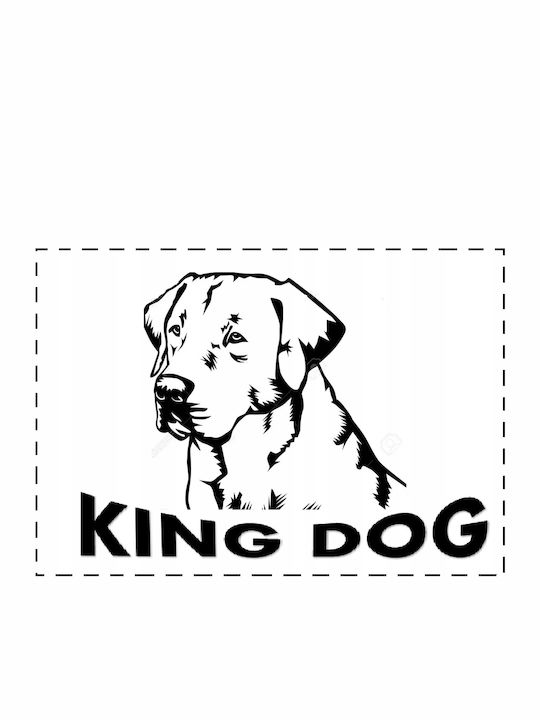 KingDog Canapea Pat pentru câini Gri 55x45cm.