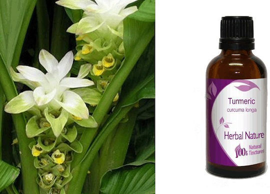 Nature & Body Βάμμα Κουρκουμάς 50ml