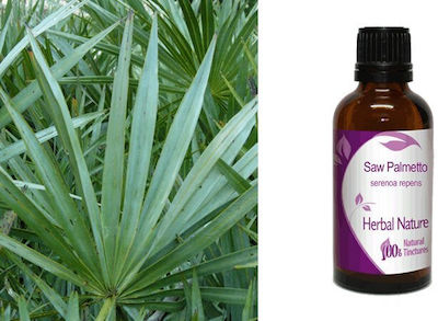 Nature & Body Βάμμα Saw Palmetto 50ml