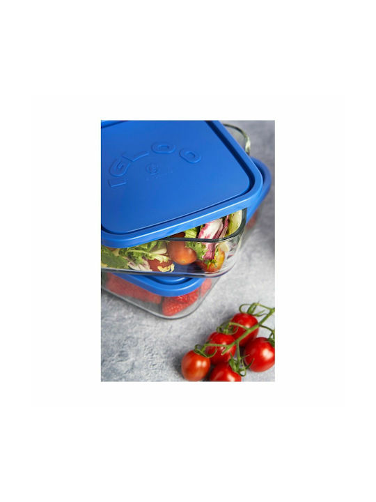 Borgonovo Plastic Lunch Box Blue