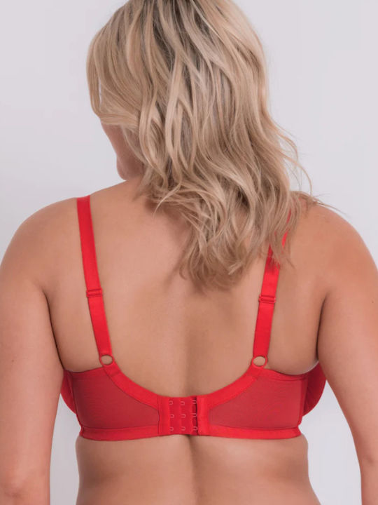 Curvy Kate Curvy Kate