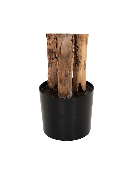 Plantă Artificială în Ghiveci Mic Musa Green 17cm HomeMarkt