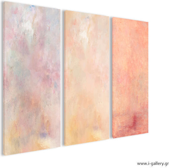 I-gallery Τρίπτυχος Πίνακας σε Καμβά 70x50cm