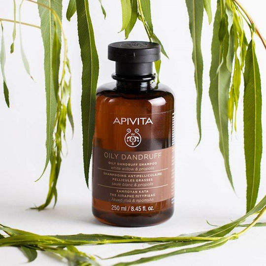 Apivita Oily Dandruff White Willow & Propolis Șampon Împotriva Mătreții Pentru Păr Gras 250ml