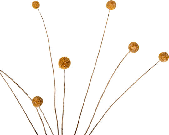 Getrocknete Pflanze Gelb 63cm HomeMarkt