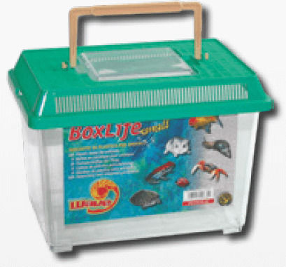 Croci Ενυδρείο Ψαριών με 17.5x11x14.5εκ.