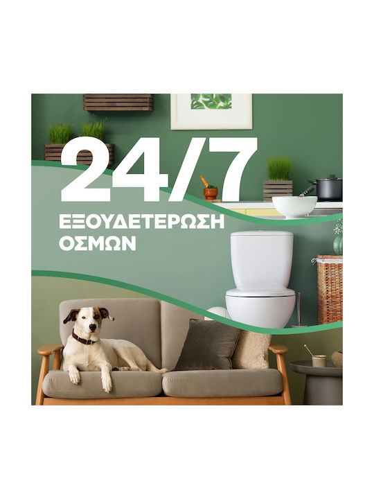 Airwick Rezervă pentru Dispozitiv de Pulverizare cu Aromă Foc și condimente de scorțișoară 2buc 250ml