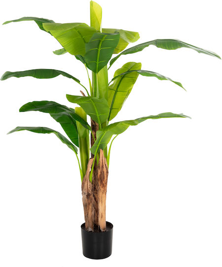 Plantă Artificială în Ghiveci Mic Musa Green 17cm Freebox