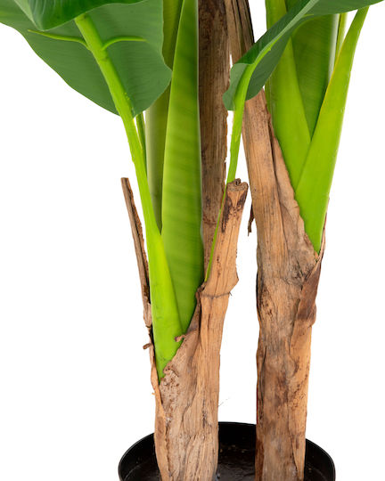 Plantă Artificială în Ghiveci Mic Musa Green Freebox