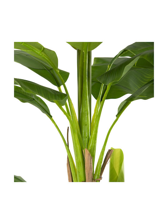 Plantă Artificială în Ghiveci Mic Musa Green 17cm Freebox