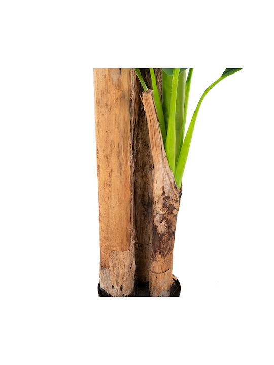 Plantă Artificială în Ghiveci Mic Musa Green 17cm Freebox