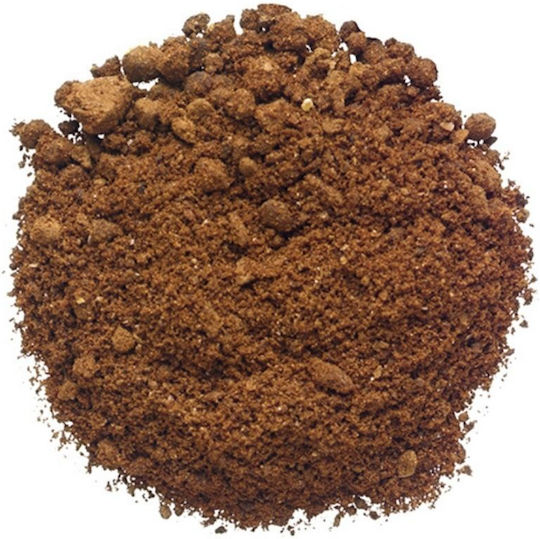 Μεσόγειος Γαρύφαλλο 14gr