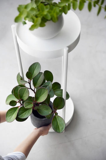 Yamazaki Metal Plant Tower White 26.5x25x70cm
