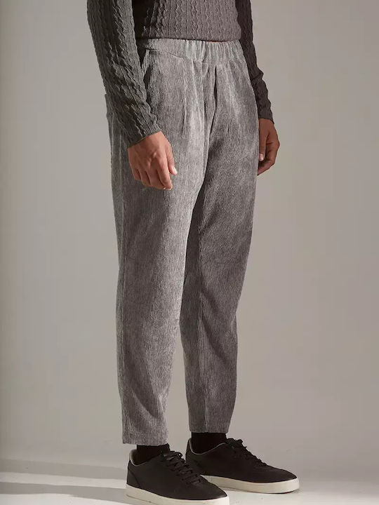Hose Grey