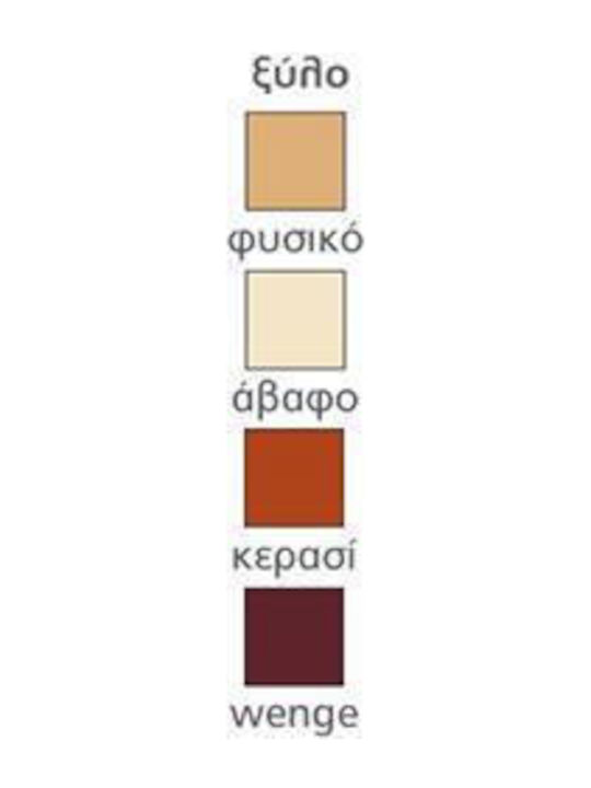 257-c Dining Room Wooden Chair SELECT 45x50x97cm