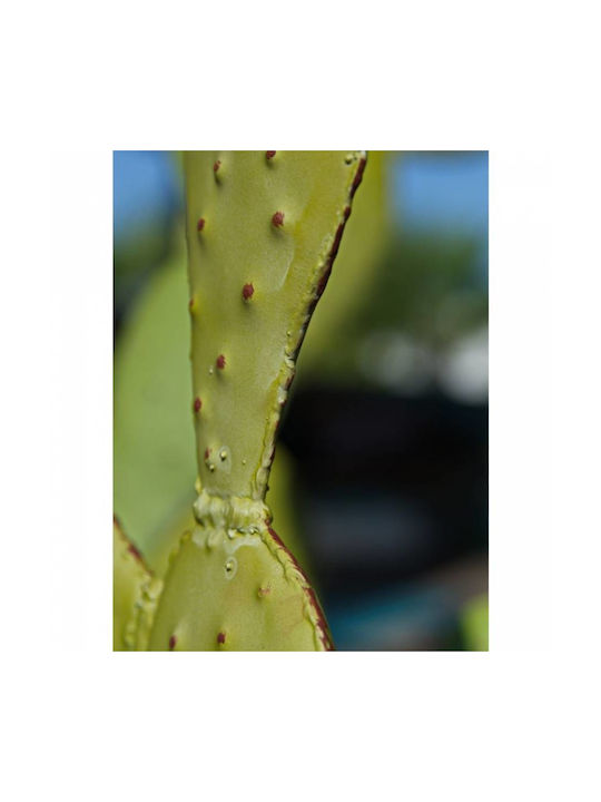 Decorativ Cactus din Metal 95x95cm 1buc