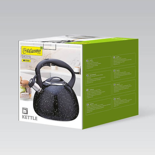 Maestro Teapot Stainless Steel Black 2500ml
