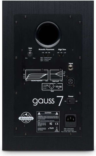 Avantone Pro Gauss 7 Studio Monitor Lautsprecher 7" 180W Paar Schwarze