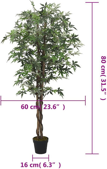 Σφένδαμος σε Γλάστρα 80cm vidaXL