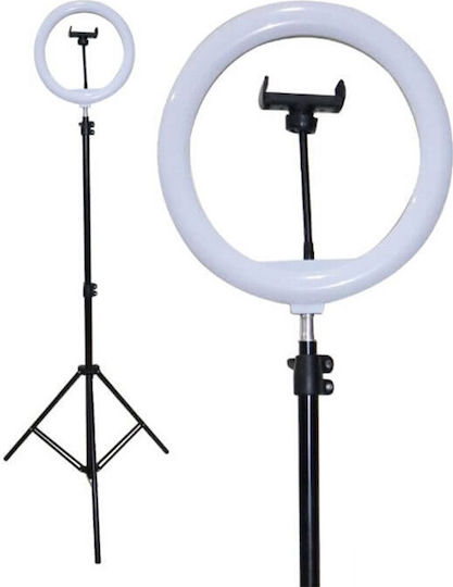 IRiSfot Led Photo Ring Light 01838 Ring Light 26cm 2500 - 6000K with Tripod Floor and Mobile Holder