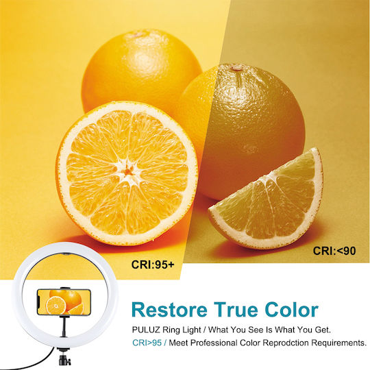 Puluz Ring Light 30cm with Floor Tripod and Mobile Phone Holder
