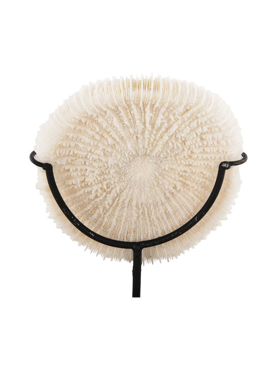 Freebox Metallic Coral Table Decor