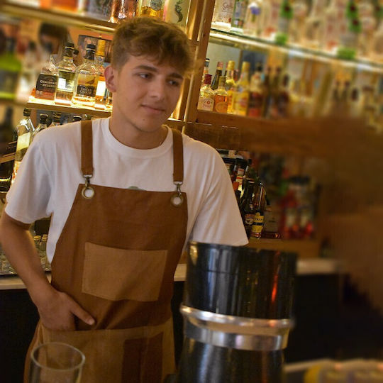 Tips Apron Full Body Brown