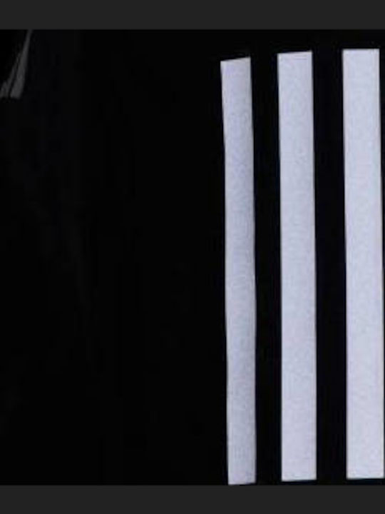 Own the Run Athletic Jacket Windproof Black
