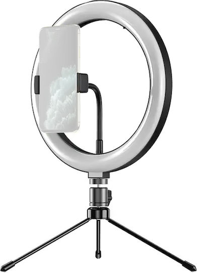 Apexel APL-FL10JJ13Y Ringlicht 26cm mit Bodenstativ mit Desktop Ständer und Handyhalter