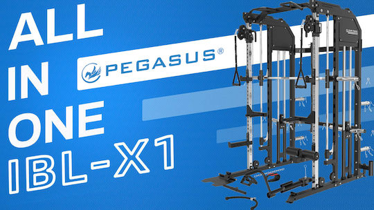 Pegasus Trainer Χ1 Aparat multifuncțional de fitness cu greutăți 250kg