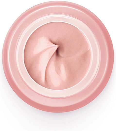 Vichy Neovadiol Rose Platinium 24ωρη Αντιγηραντική Κρέμα Προσώπου Ημέρας 50ml