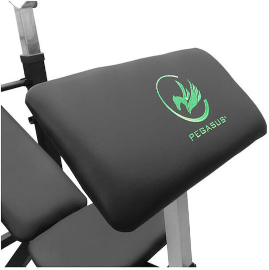 Pegasus W-359 Incline Workout Bench Biceps with Stands