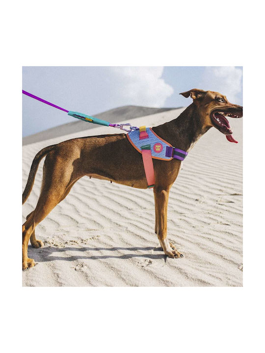 Zee-Dog 55-77cm