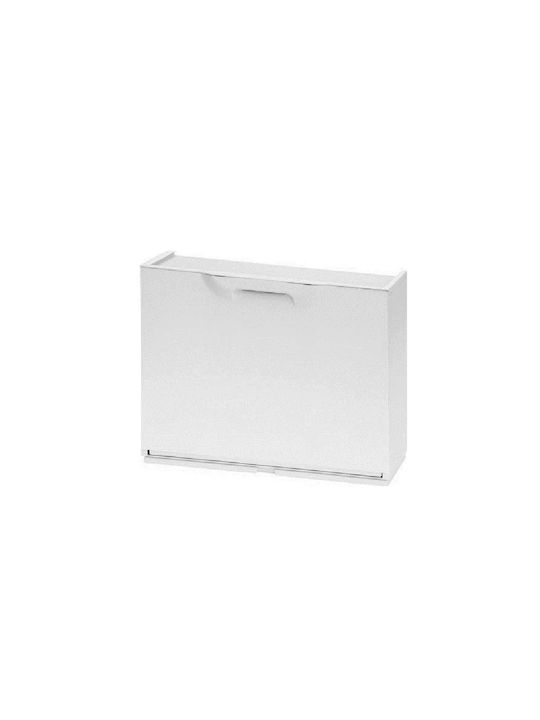 Organizatoare Pantofi Din Plastic 51x17.3x41cm