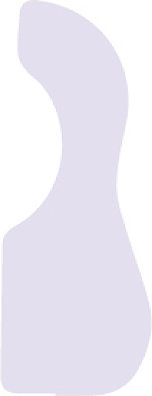 D'Andrea Acoustic Guitar Saiteninstrumentzubehör