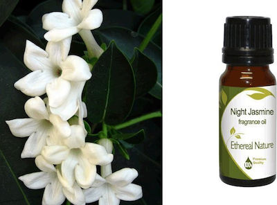 Nature & Body Essential Oil Jasmine 10ml