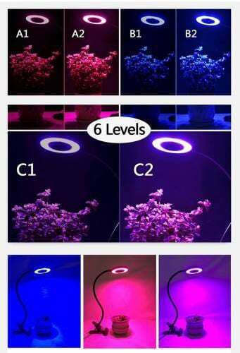 Desk Grow Light with LED